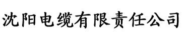 91污视频在线观看电缆厂logo